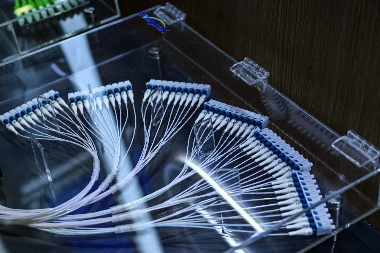 1iaXyCYPHkeAFzv7p4jnwqXibTN76icU5UOLXFcGHEzpHvnVct69niaukWp9QQ7NRqwOUHkB1dYVFJquV3aatsLgqw-3957b83c-31a8-4197-a563-d6703815ae82 (1).jpg